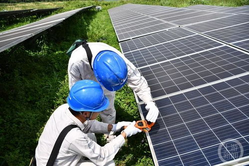 烈日下他們?nèi)昭采先f塊光伏板 保障電力迎峰度夏